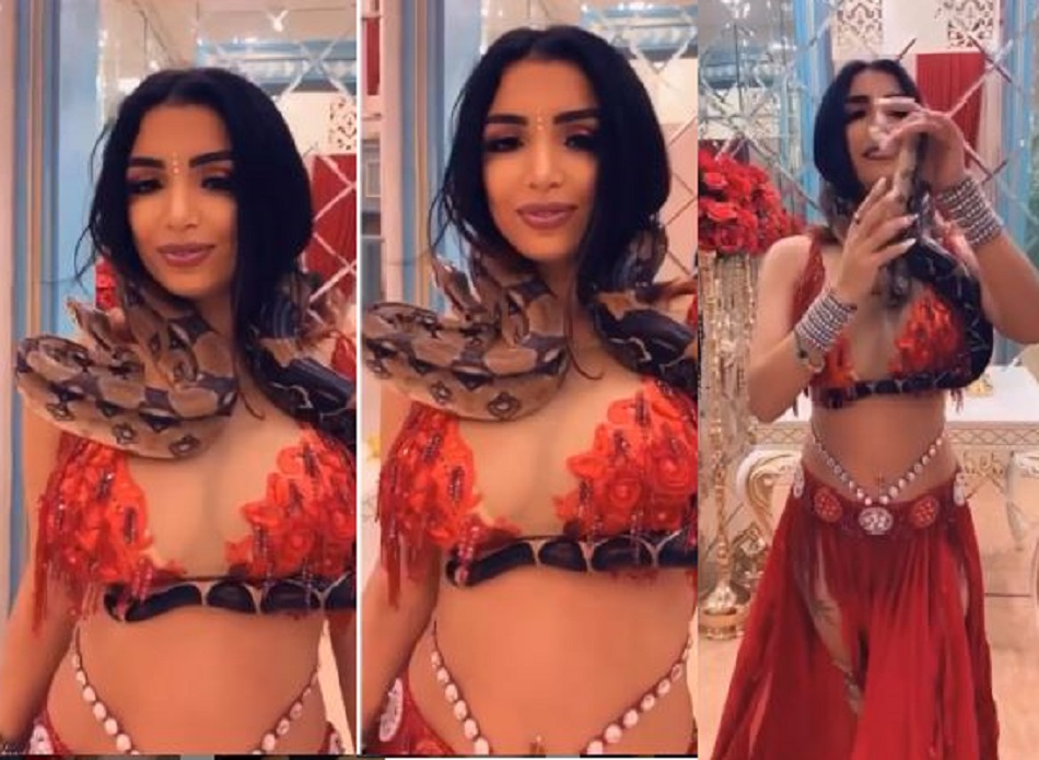 Bakıda rəqqasə boynuna ilanı dolayıb toya gəldi —  Qonaqlar qorxuya düşdü (VİDEO)