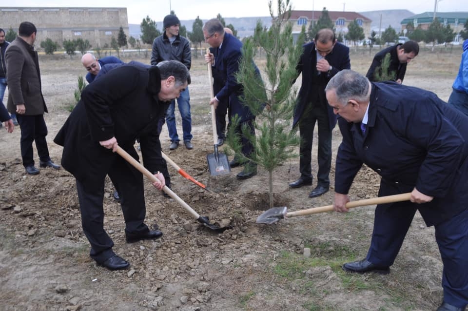 Yeni icra başçısı “lapatka” götürüb işə başladı - FOTO