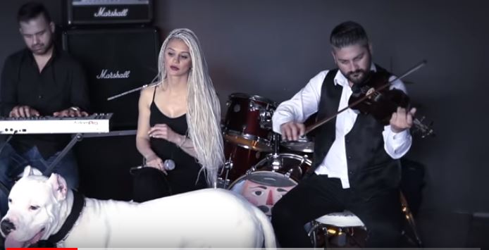 Səhnədə maraqlı anlar: İt səhnəyə çıxıb müğənnini öpdü +VİDEO