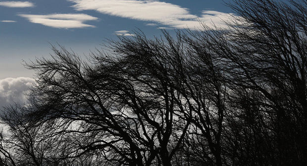 Sabahdan ölkə ərazisində hava soyuyacaq