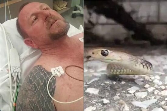 Canlı yayımda şou göstərən kişini dünyanın ən zəhərli ilanı sancdı - VİDEO