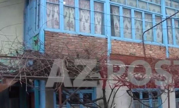 Nərminin saxlandıldığı yerin görüntüləri yayıldı — VİDEO