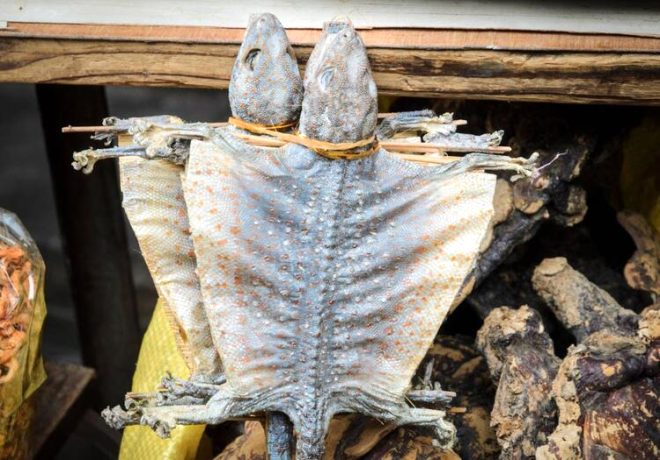 Dünyanı təhlükədə qoyan virus bu bazardan yayılıb - Mədə bulandıran FOTOLAR