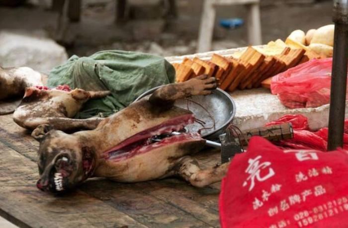 Koronavirusun yayıldığı bazardan dəhşətli görüntülər – FOTOLAR+VİDEO