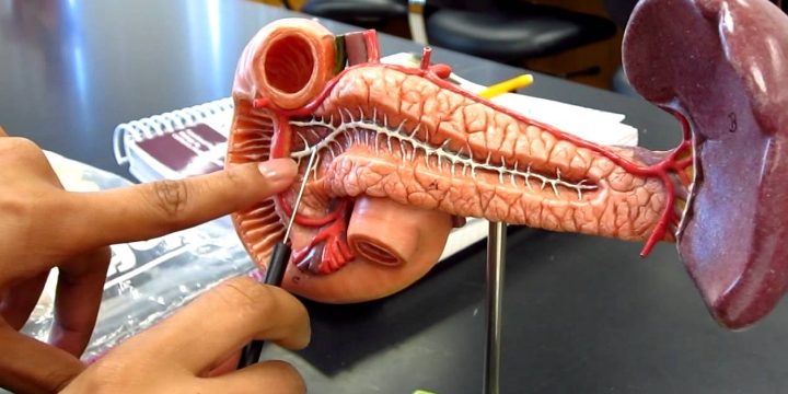 Mədəaltı vəzinin ən acımasız xəstəliyi PANKREATİT – Kimlərdə yaranır, ƏLAMƏTLƏR