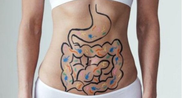 Bağırsaqların insan hislərinə — İNANILMAZ TƏSİRİ