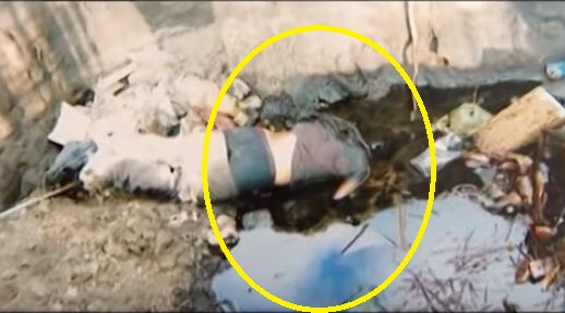 Bakıda ŞOK! Azyaşlı oğlan qadını zorlamaq istərkən öldürüldü  (18+VİDEO)