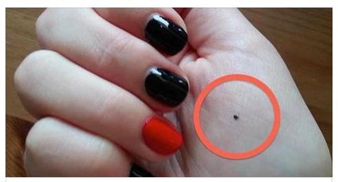 Qadın əlinin içinə nöqtə çəkdi, 5 dəqiqə sonra polislər qapını döydü - SƏBƏB İNANILMAZ