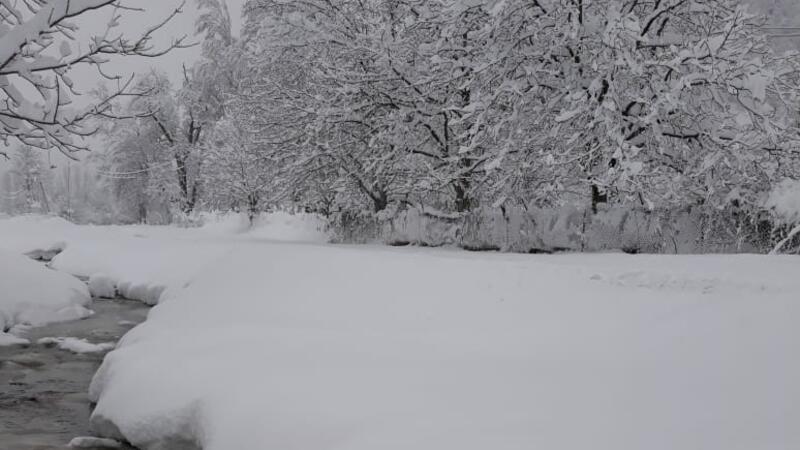 Sabah Bakıya QAR YAĞACAQ: 15 dərəcə şaxta, güclü külək olacaq, yollar buz bağlayacaq