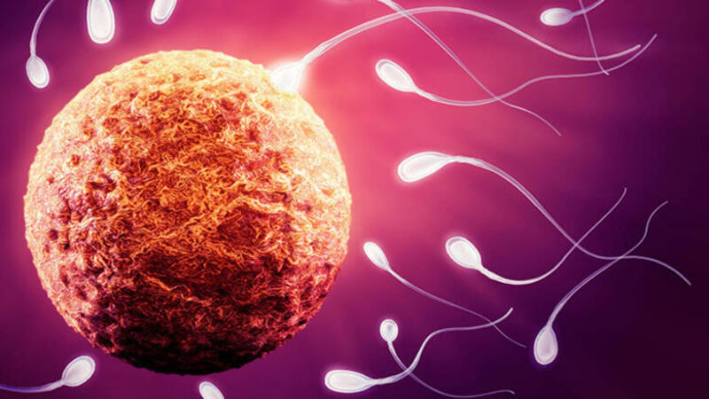 Gec yaşda evlənən kişiləri GÖZLƏYƏN TƏHLÜKƏ