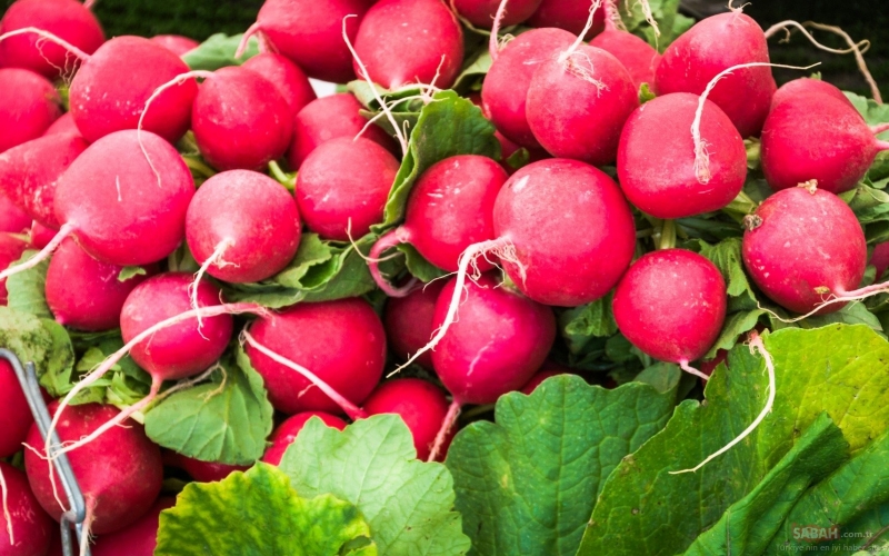 Xərçəng əleyhinə təsir göstərən tərəvəz - Özü kimi yarpaqları da...