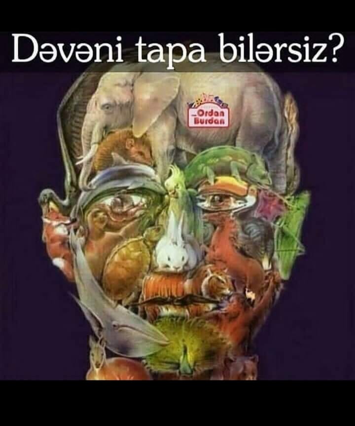 Fotoda dəvəni tapın - MARAQLI  TEST