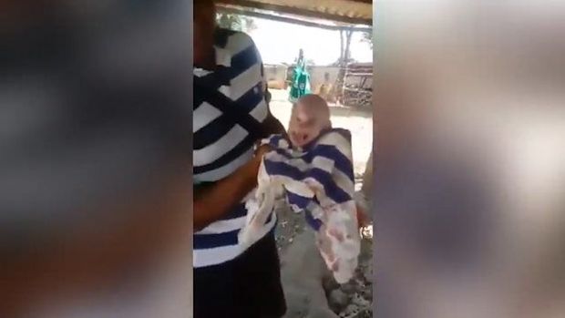 Donuz insan üzlü bala doğdu -Şok görüntü