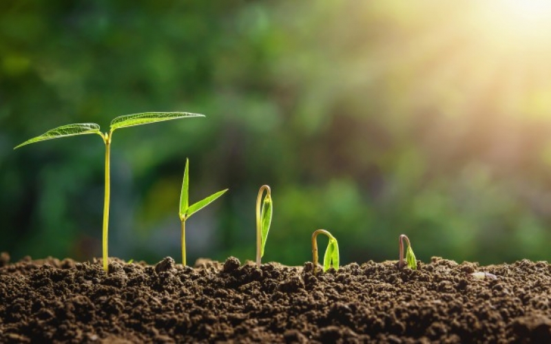 Bu gün Torpaq çərşənbəsidir