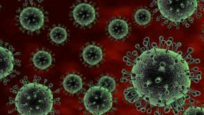 SEVİNDİRİCİ XƏBƏR: Azərbaycanda bu tarixdən etibarən koronavirus məhv olacaq
