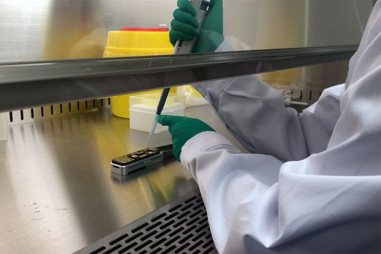 SENSSASİYA: Koronovirusu bu ölkə hazırlayıb,laboratoriyaya köçürərkən ətrafa dağılıb