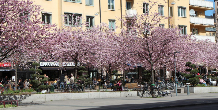İsveçdə koronavirusa qarşı niyə tədbir görülmür... - Hər yer işləyir, hamı küçədə