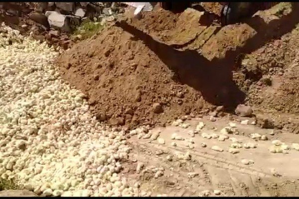 İrandan ŞOK görüntü: 100 minlərlə canlı diri-diri basdırıldı (18+VİDEO)