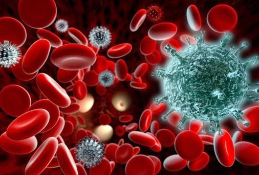 Qan xərçəngindən qoruyan MÖCÜZƏLİ VASİTƏ