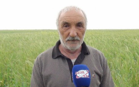 Torpaqları əllərindən alınanların Prezidentə ünvanlandığı müraciət nəzarətə götürüldü