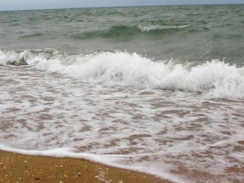2 ölkə təsdiq etdi - Havanın istiləşməsi koronavirusun qarşısını alacaqmı?