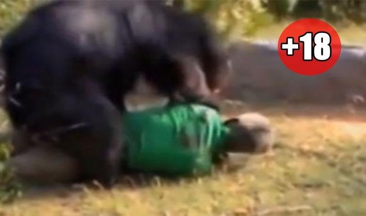 Azərbaycanda dəhşət: Uşağın meyiti parçalanmış halda çaydan tapıldı - Video