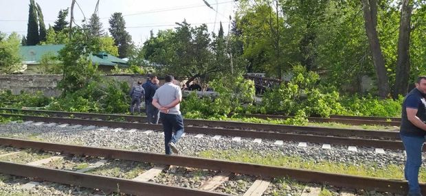 Tovuzda külək iri gövdəli ağacı aşırıb, dəmir yolu bağlanıb - FOTO