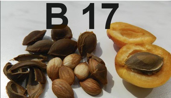 Vitamin B17 Qadağandır, Çünki o, Xərçəng xəstəliyini Sağaldır!!