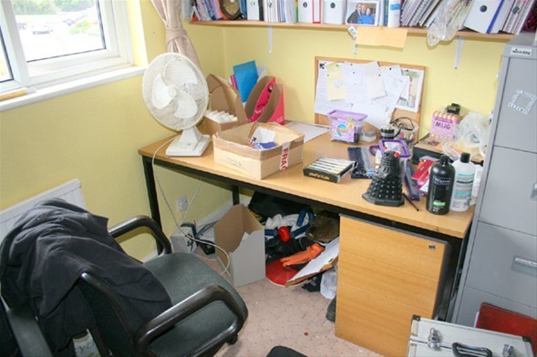 Fotoda pişik harada? - Diqqət tələb edən TEST