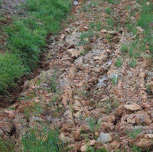 Fotoda pişik hanı? - Diqqətli olan tapacaq