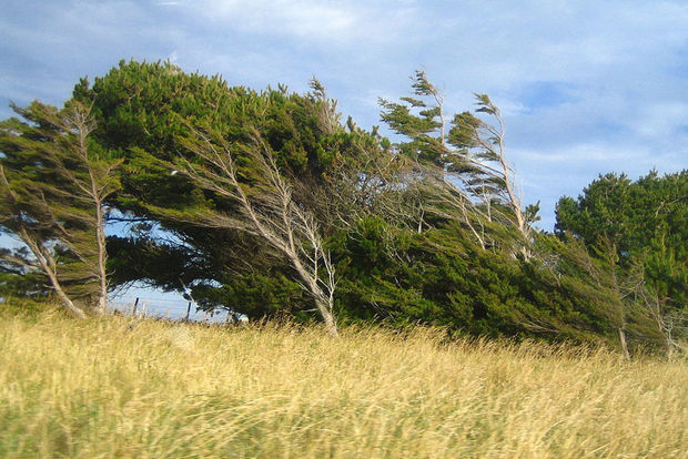 İyun ayının HAVA PROQNOZU