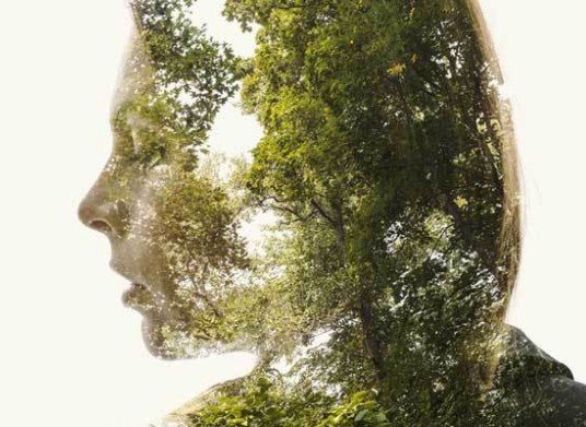 Doğum  tarixinizə  görə sizin  bitkiniz - Bütün aylar üzrə