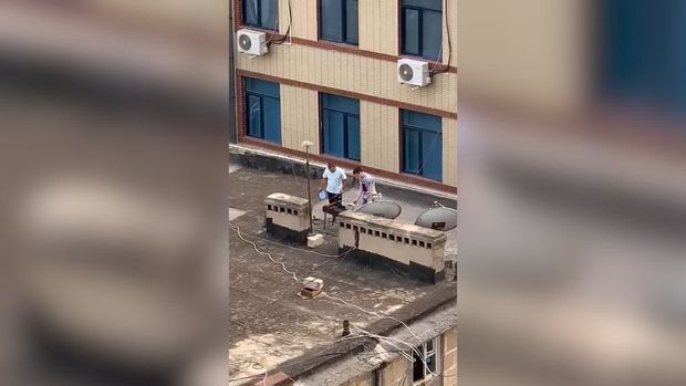 Bakı bu gün: Kimisi polisdən qaçıb ağaca çıxdı,kimisi də dama +VİDEOLAR