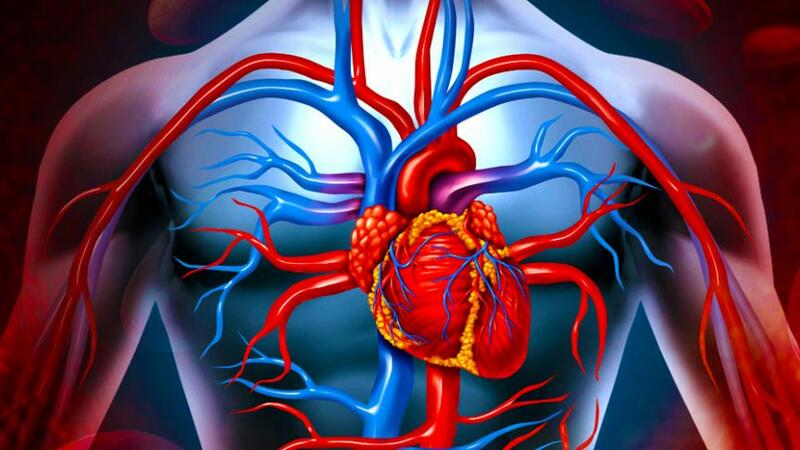 Ürək-damar xəstələri yay aylarında nələrə diqqət etməlidir? - Tanınmış kardioloqdan VACİB XƏBƏRDARLIQ