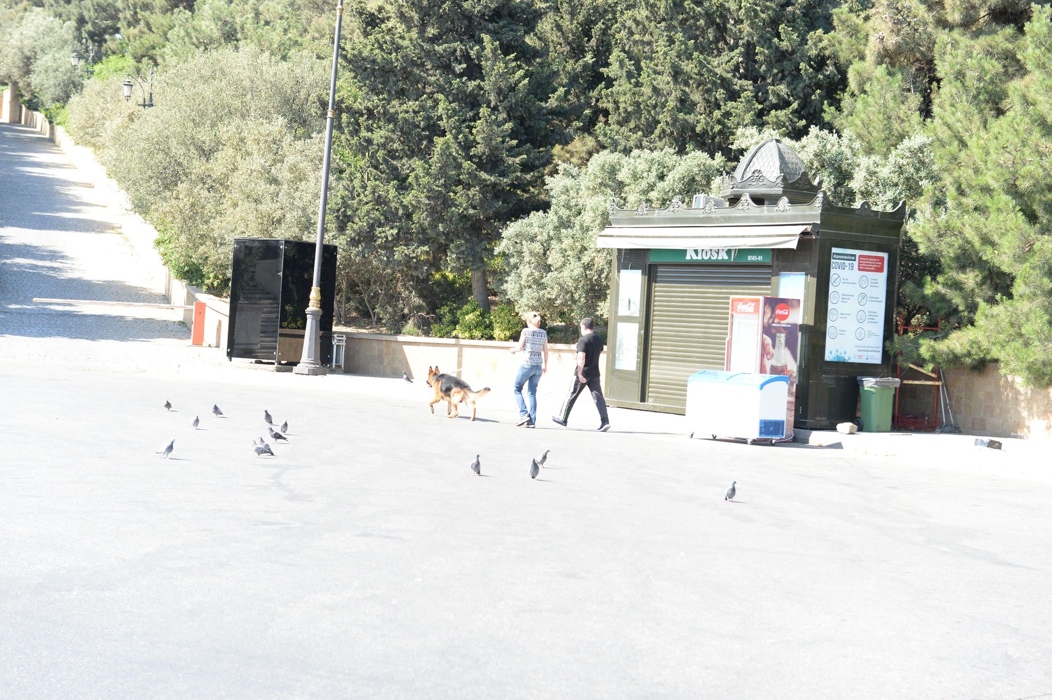 Bakı küçələri  boş  qalıb  - VİDEO