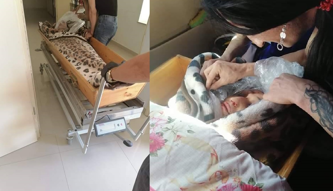 Bakıda qətlə yetirilən transın meyitini yaxınları qəbul etmədi (18+FOTOLAR)