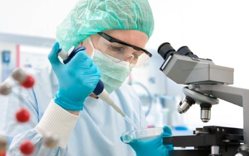 Dünyada yeni virus yayılır: Milyonlarla insan öləcək... - Donuzlar yayır