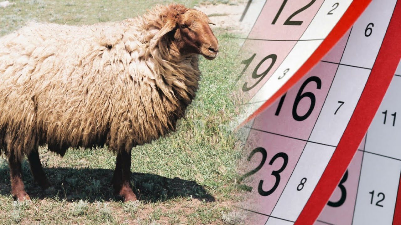 Bu il Qurban bayramı fərqli olacaq - RƏSMİ