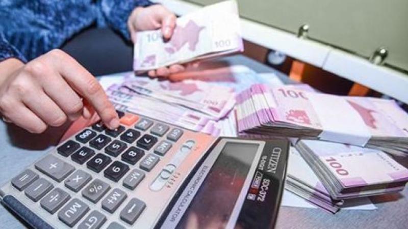 Bu il 90 min insan ödənişli ictimai işlə təmin ediləcək - Prezident