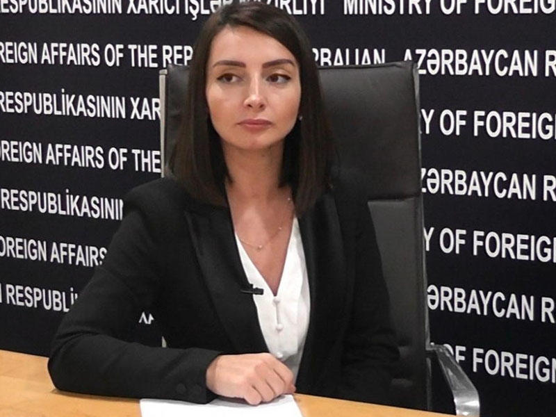 Leyla Abdullayeva: \\\"ABŞ Dövlət Departamenti kimə və nəyə görə narahatdır, bunu başa düşə bilmirik\\\"