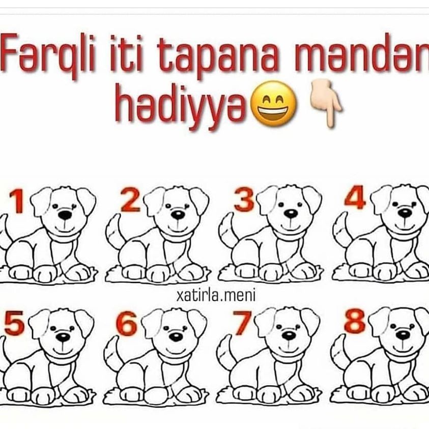 Kim tapar?