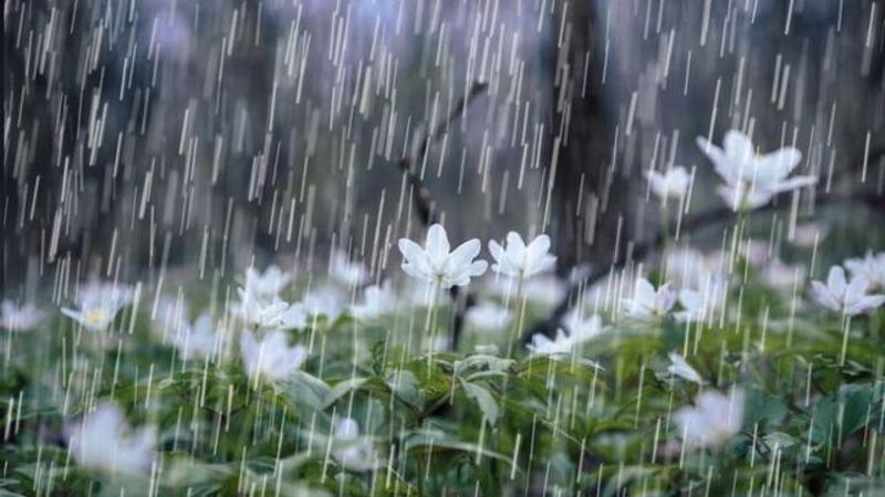 Hava kəskin dəyişəcək - XƏBƏRDARLIQ