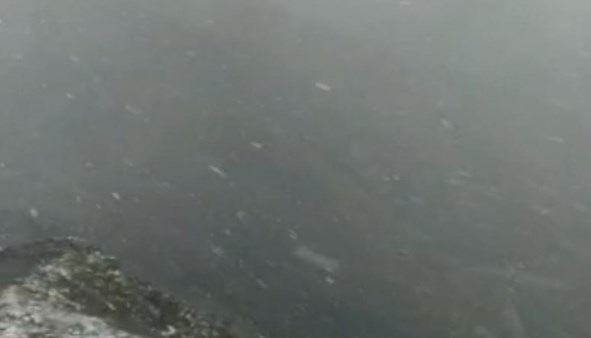 2020/08/24/1598214775_qar.jpg