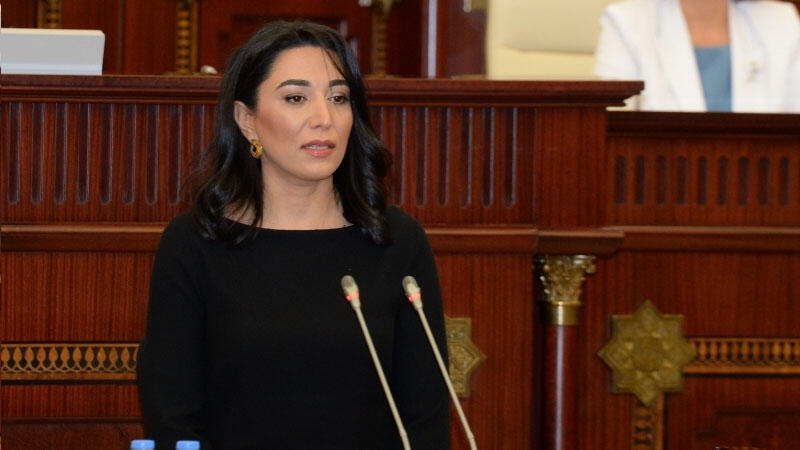 Ombudsman 17 yaşlı qızın qaçırılmasını nəzarətə götürdü