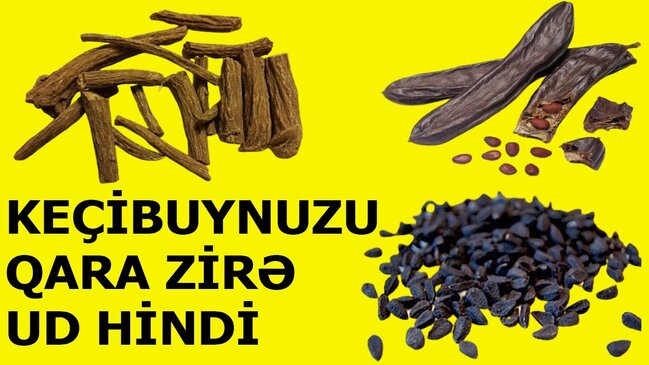 Məşhur həkimdən koronavirusla mübarizə üçün MÜKƏMMƏL RESEPT - VİDEO