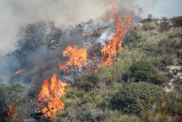 2020/11/01/1604244533_blogfirebrushfire.jpg