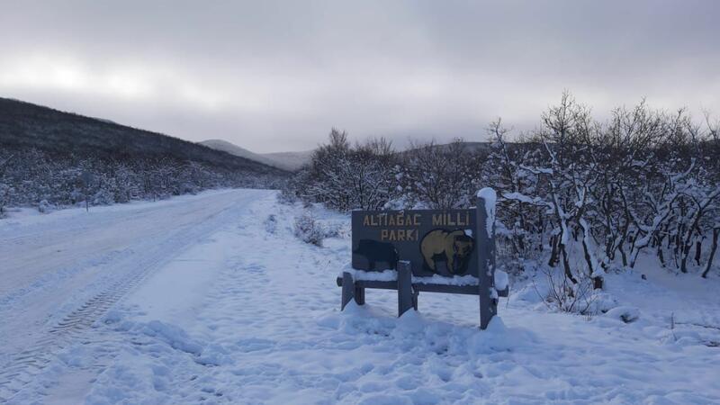 10 dərəcə şaxta olacaq, yağış yağacaq - SABAHIN HAVASI