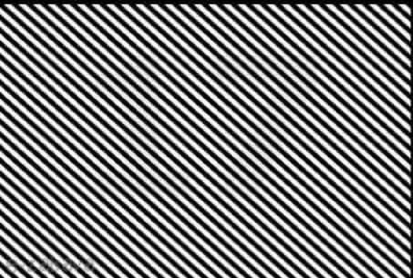 Fotoda nə görürsünüz? -  DİQQƏT TESTİ