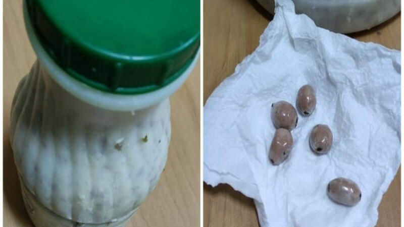 Bakıda həbsxanada şok hadisə: Həbsxanaya gətirilən dovğdn görün nə çıxdı