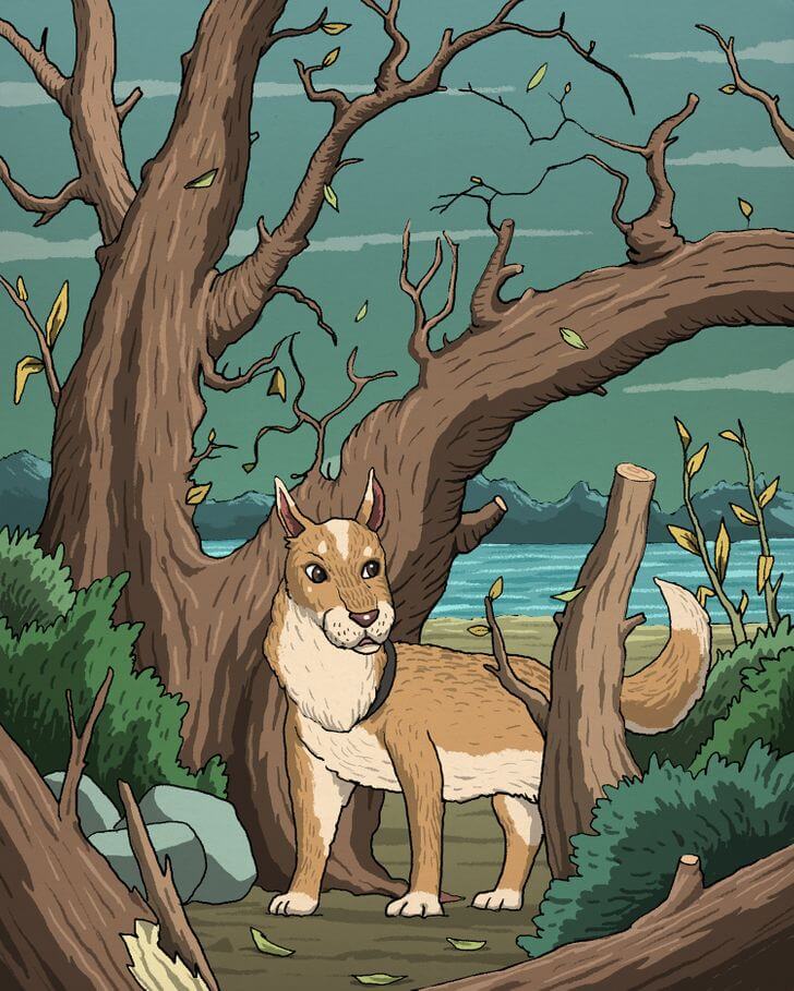 Bu şəkil çoxlarını çaşdırıb,gizlənmiş pişiyi kim tapdı?  — DİQQƏT TESTİ